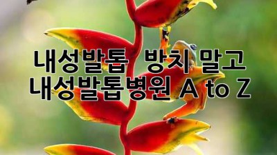 내성발톱? 🦶 방치 말고! 내성발톱병원 A to Z 🏥