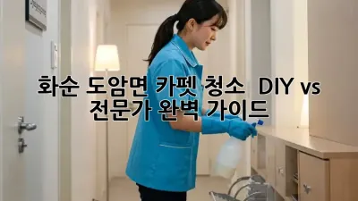 화순 도암면 카펫 청소 ✨ DIY vs 전문가? 완벽 가이드!
