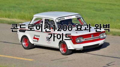 콘드로이친1200 효과 완벽 가이드