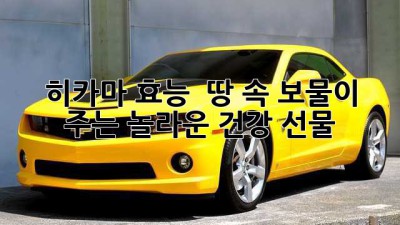 히카마 효능 🌱 땅 속 보물이 🎁 주는 놀라운 건강 선물!
